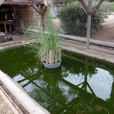 Regency Holiday Tour Operateur Dans Camping 5 Etoiles Frejus, Cote D'azur Fréjus